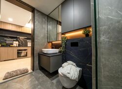 Irwell Hill Residences (D9), Apartment #529599571